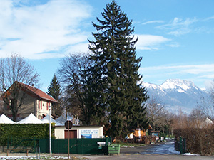 entreecampingaucoeurdulacactuel