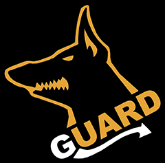 logo627
