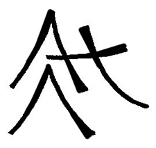 tatooideo