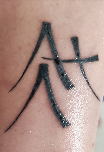 tatooideoreel
